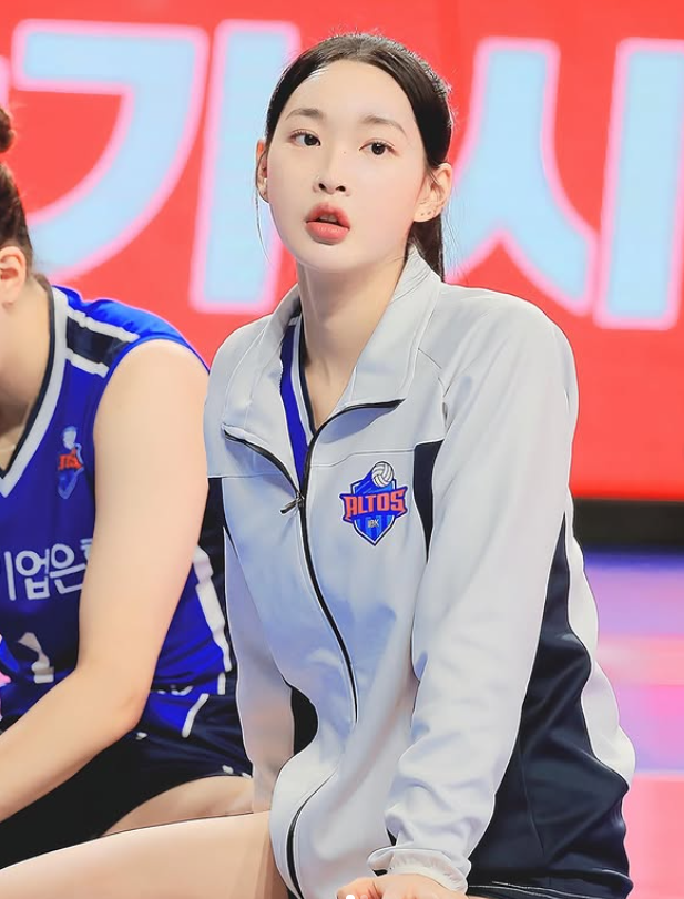 이진 배구선수 김연경도 주목한 미녀 세터 프로필 원더독스 입단 비화