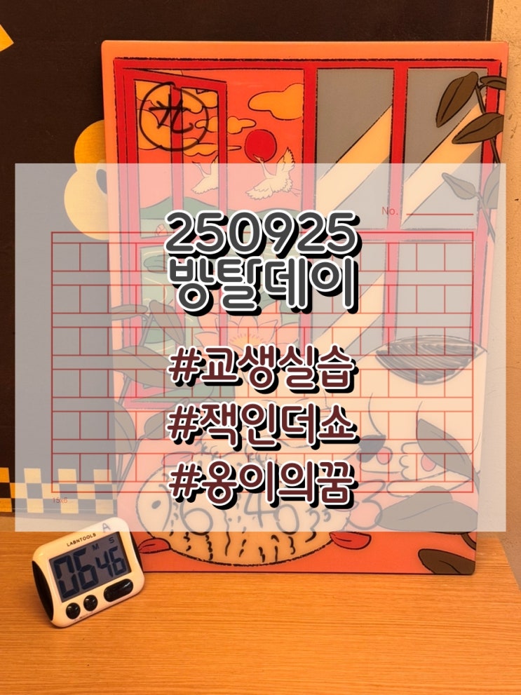  250925 3연방탈! 교생실습, 잭인더쇼, 그리고 옹이의 꿈