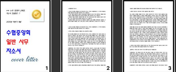  [공개] 2025년 수협중앙회 자소서 2편 모음