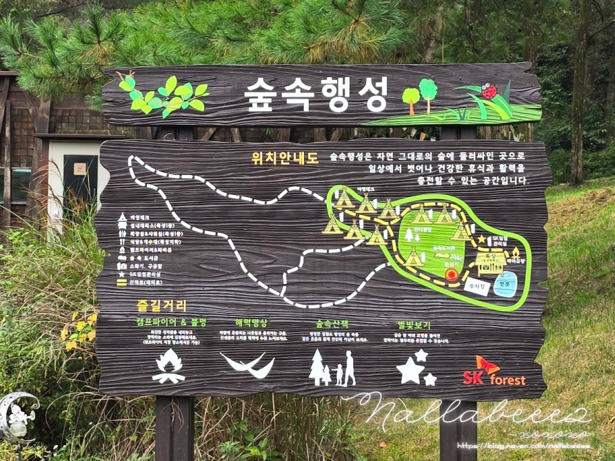 숲속행성 사진 4