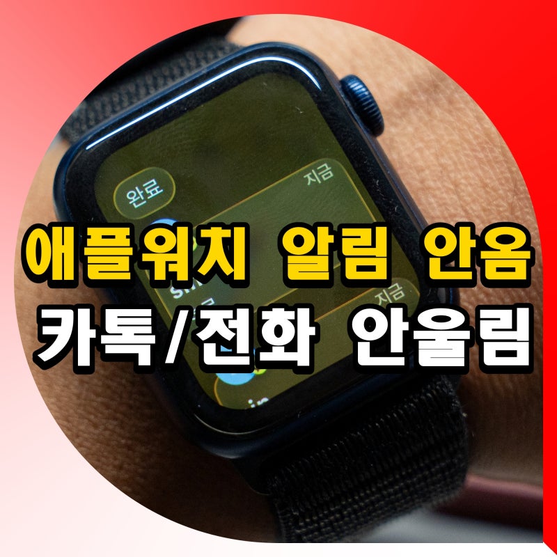 애플워치 알림 안옴 카카오톡 전화 안울림 안뜸 해결