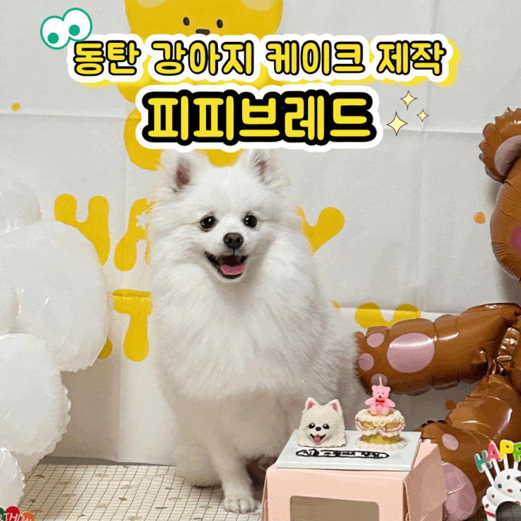  동탄 영천동 피피브레드 강아지 커스텀 두입 케이크 주문 제작