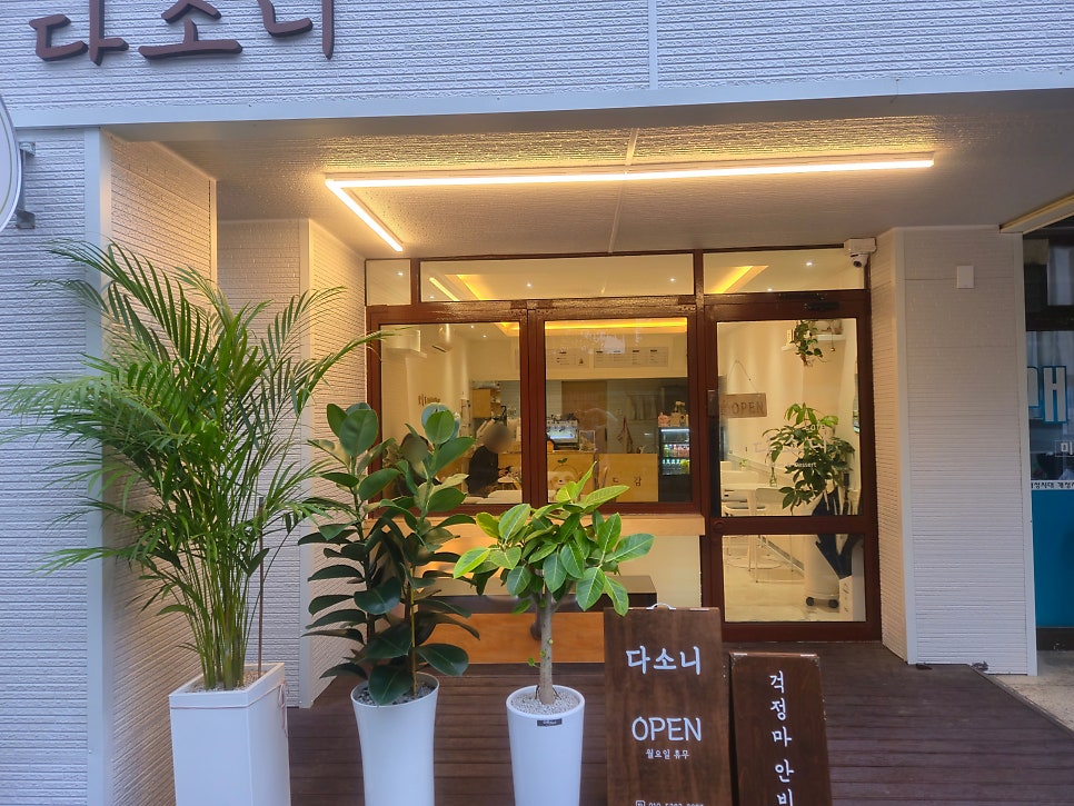 다소니 사진 3