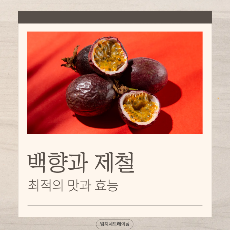  백향과 제철 최적의 맛과 효능 알아보기