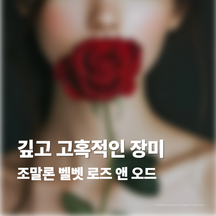  조말론 향수 벨벳 로즈 앤 오드 분석