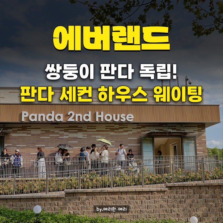  에버랜드 판다 세컨하우스 주말 오후 방문기, 판다월드 방문 시간 비교 및 판다월드 굿즈 사은품