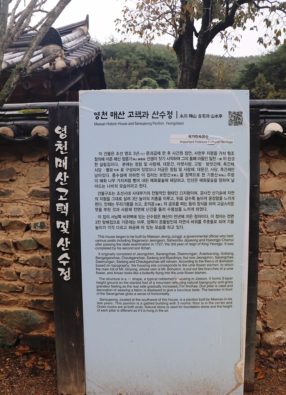산수정 사진 2