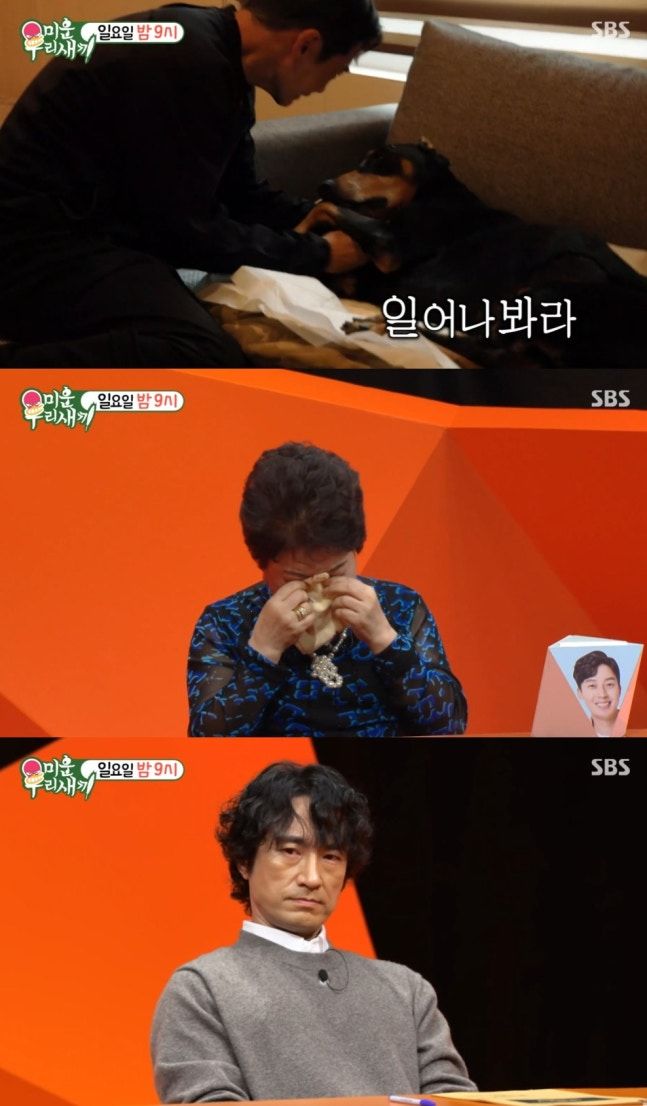 <b>배정남</b>, 숨 멎은 <b>반려견</b> '<b>벨</b>' 끌어안고 <b>오열</b>…"자나? 일어나... 