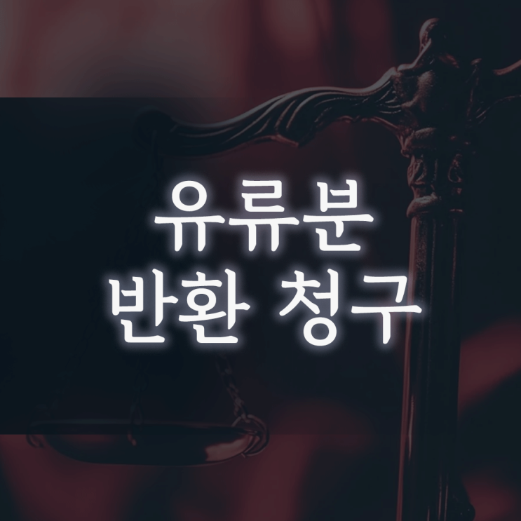 유류분 반환 청구, 형제에게만 증여된 재산 때문에 내 상속분이 없다면?