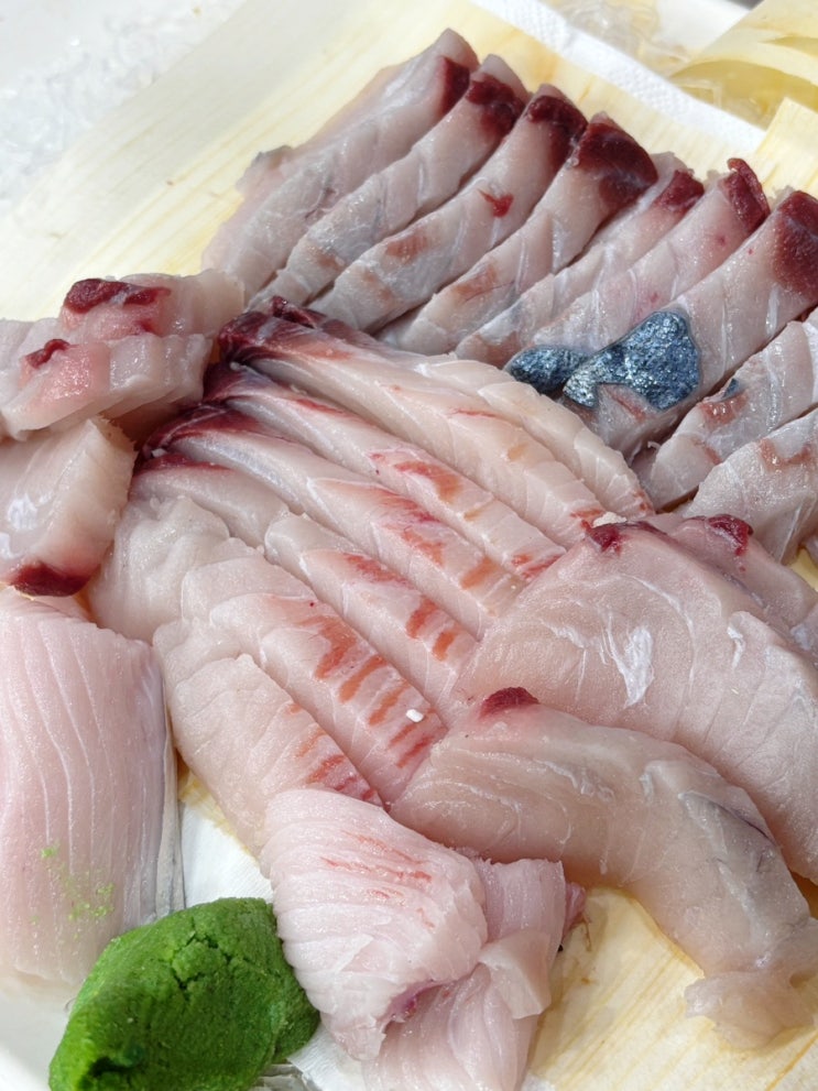  여수 삼치회 맛집 사시사철삼치회 | 갓김치랑 돌김 조합 미쳤다