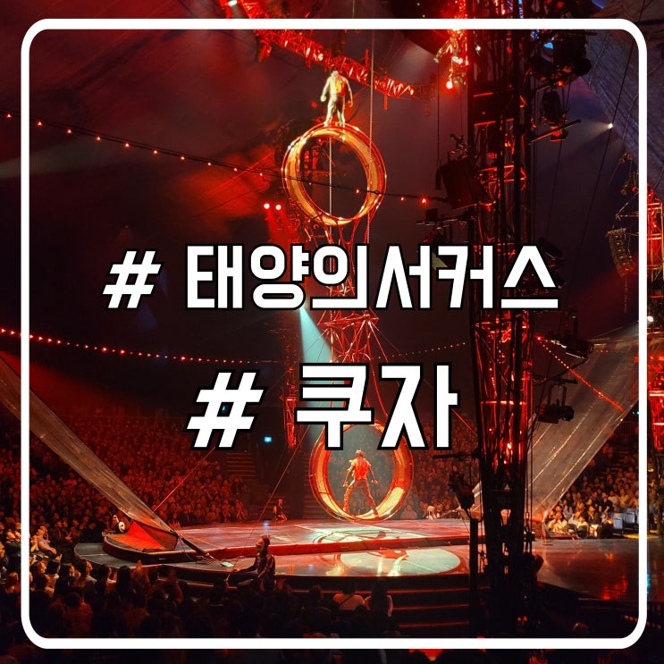  서울 태양의서커스 쿠자｜B석 206구역 P열 시야 정보 후기