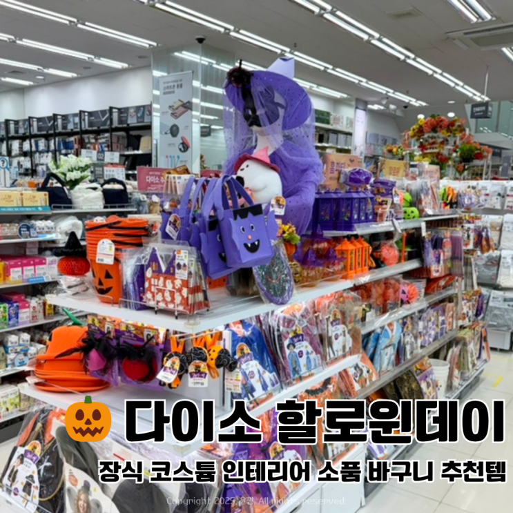  다이소 할로윈 장식 코스튬 인테리어 소품 바구니 추천템