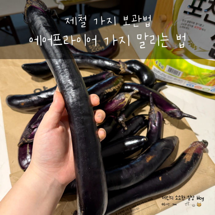 제철 가지 보관법 에어프라이어 가지 말리는 법