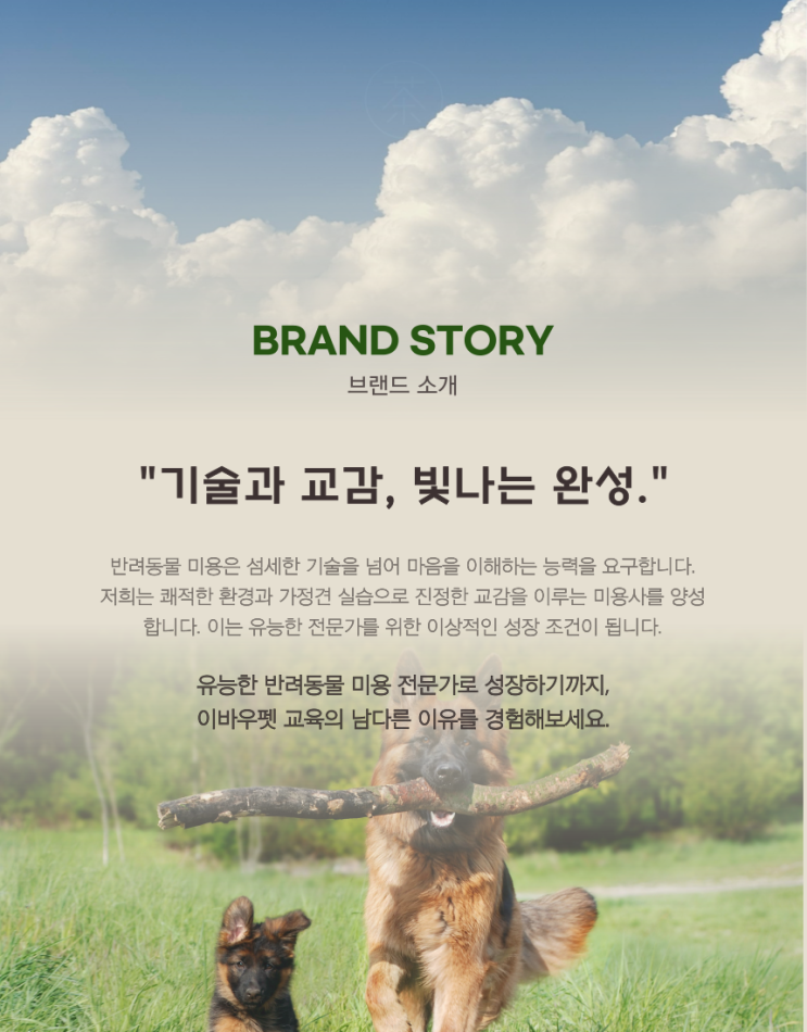  평택애견미용학원 반려견을 위한 첫걸음