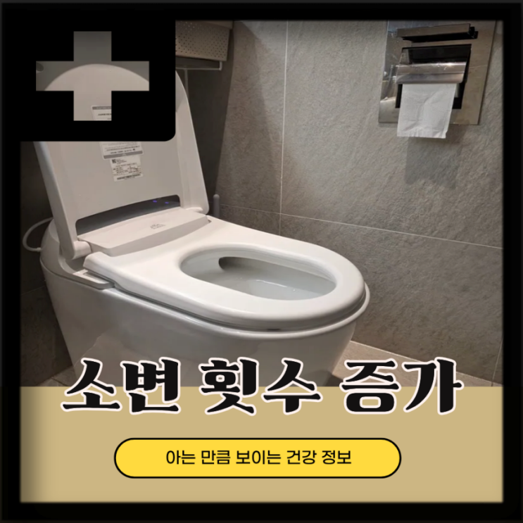  남자 여자 소변 자주 마려움 빈뇨 원인 증상