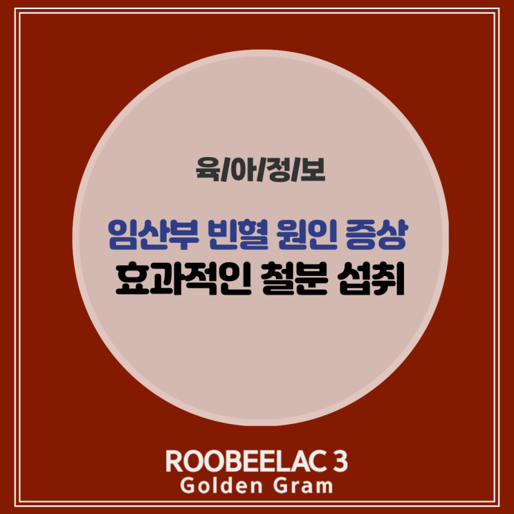  임산부 빈혈 증상 현실적인 예방 관리법과 철분 섭취하는 법 by. 덴마크 슈퍼 프리미엄 분유 루비락 3