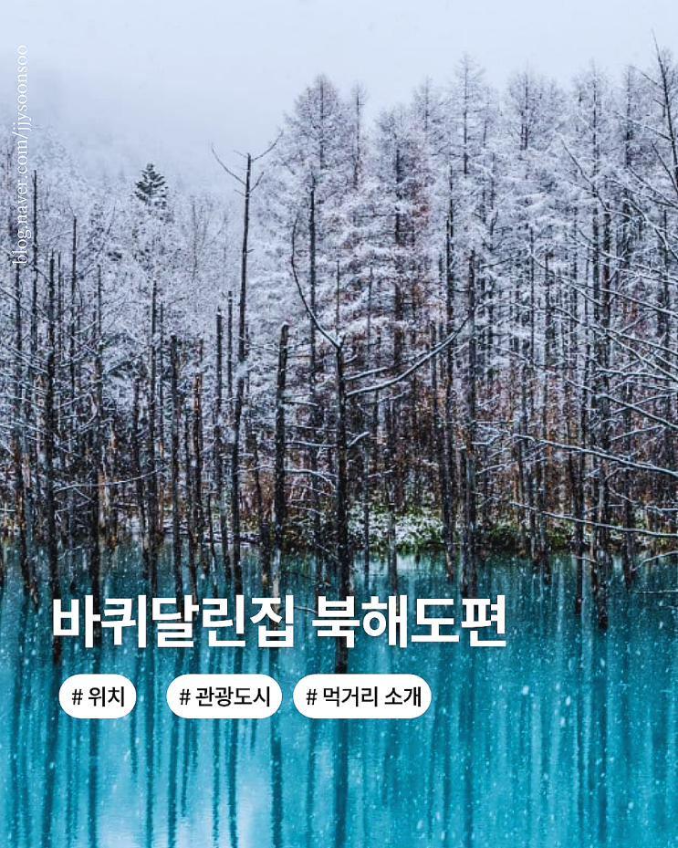  바퀴 달린 집 장나라 예능 촬영지 북해도 날씨 관광지 맛집