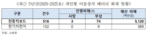  [긴급 진단] 전기차 잇단 배터리 화재… 소비자 불안 못잡는 정부