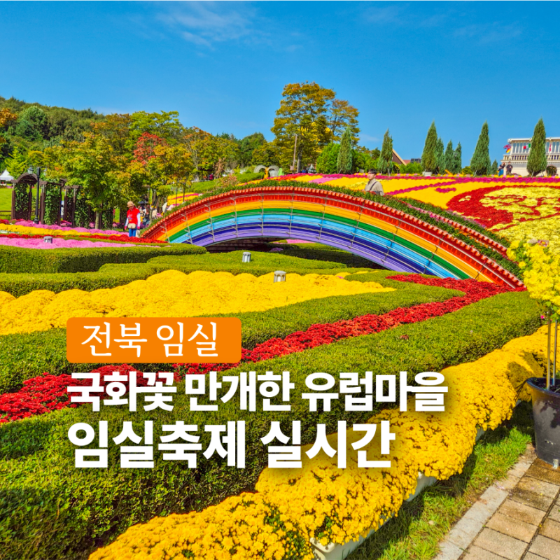 임실치즈테마파크 입장료 임실 국화축제 날짜