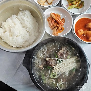봉화 춘양면 백두대산수목원 맛집 내돈내산 l 능이듬뿍 갈비탕, 구마식당
