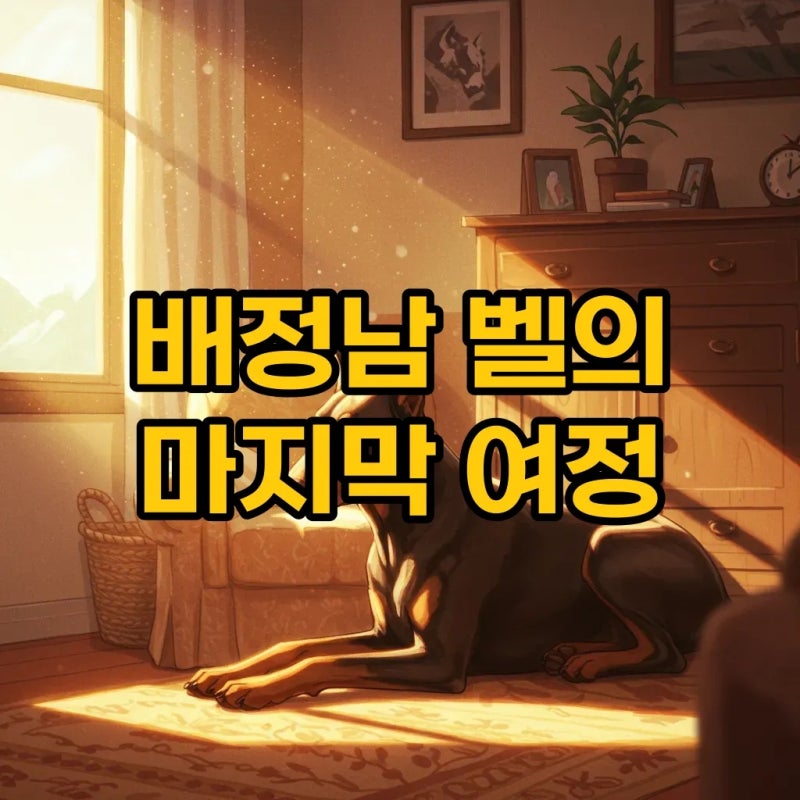 배정남 반려견 벨, 무지개다리 건넌 심장마비 이야기