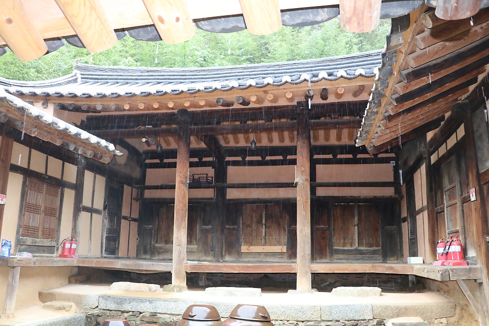산수정 사진 5