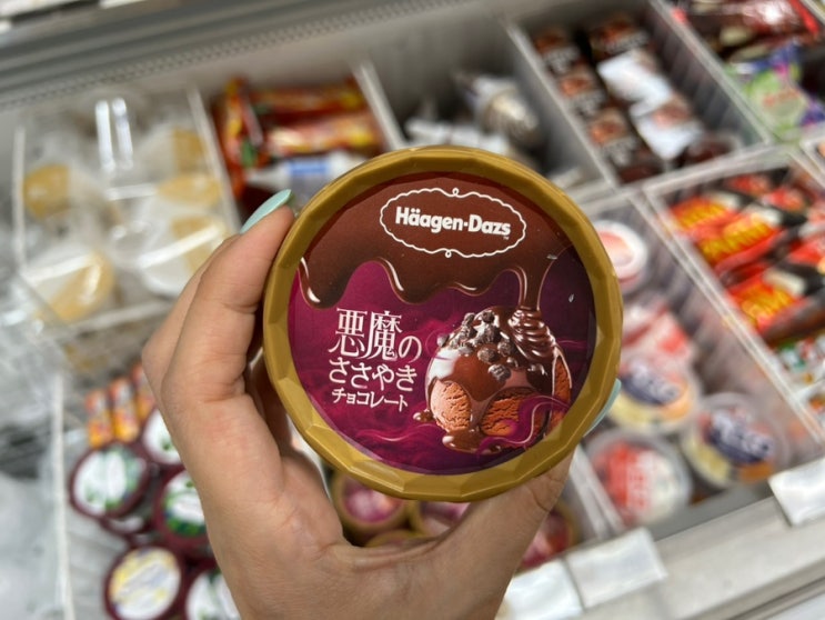  일본 하겐다즈 아이스크림 맛 추천 신상 악마의 속삭임 초콜릿 리뷰