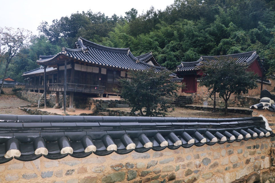 산수정 사진 1