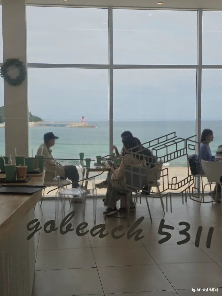  고더비치5311 감성 카페는 애견 동반 오션뷰가 최고라서 강원도 고성 가볼만한곳으로 추천해요