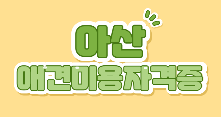  아산애견미용자격증, 반려동물 전문가로 성장하는 확실한 길