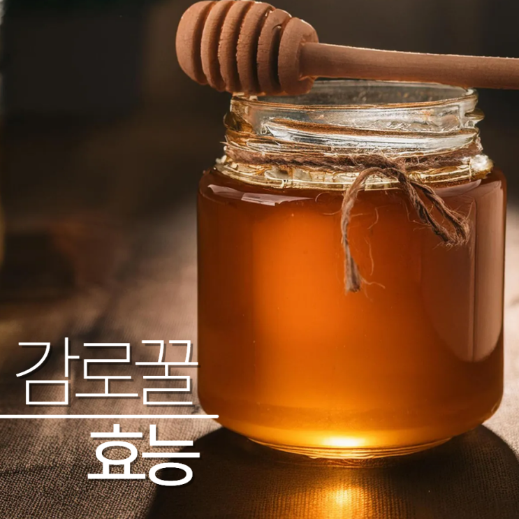  감로꿀효능 효과 부작용 먹는법