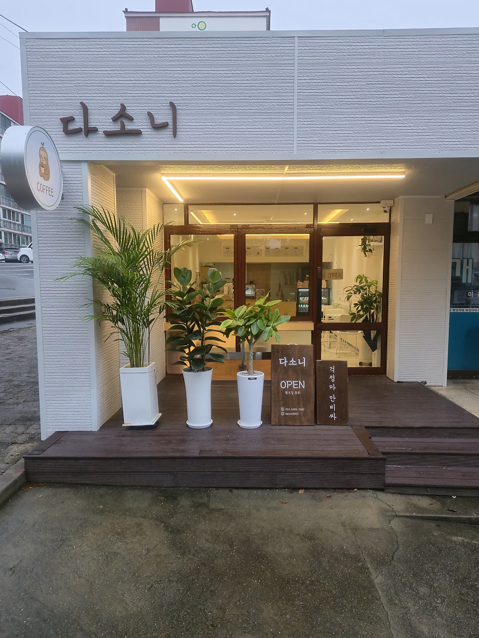 다소니 사진 1