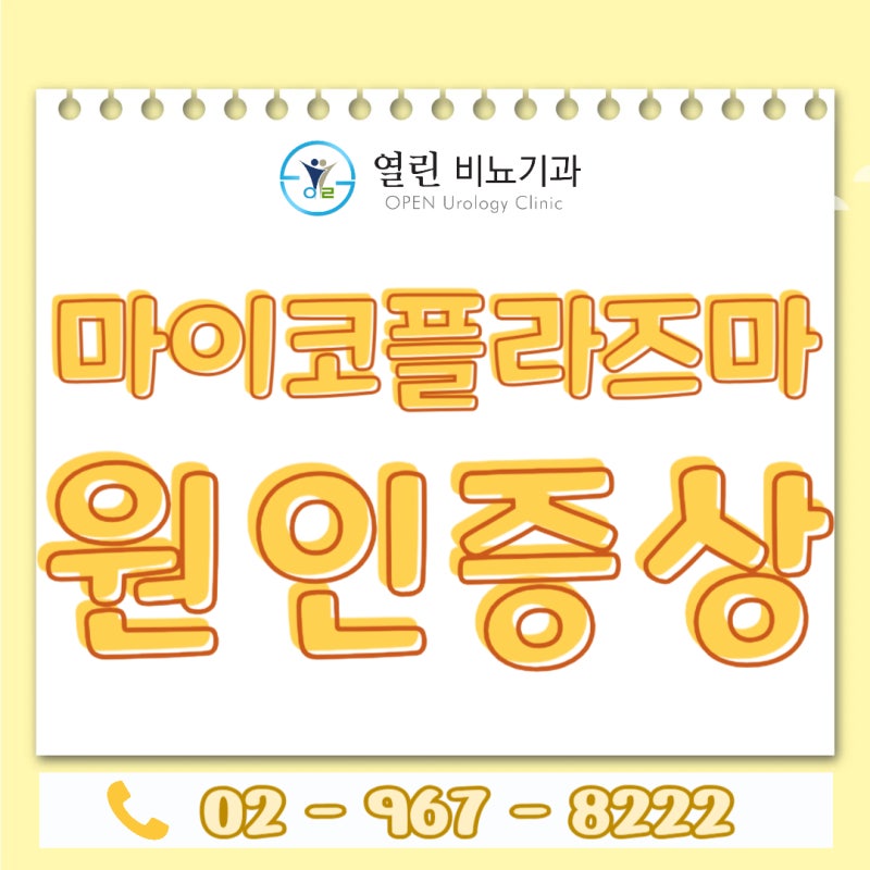회기동비뇨기과 마이코플라즈마균 질염 전염 호미니스원인