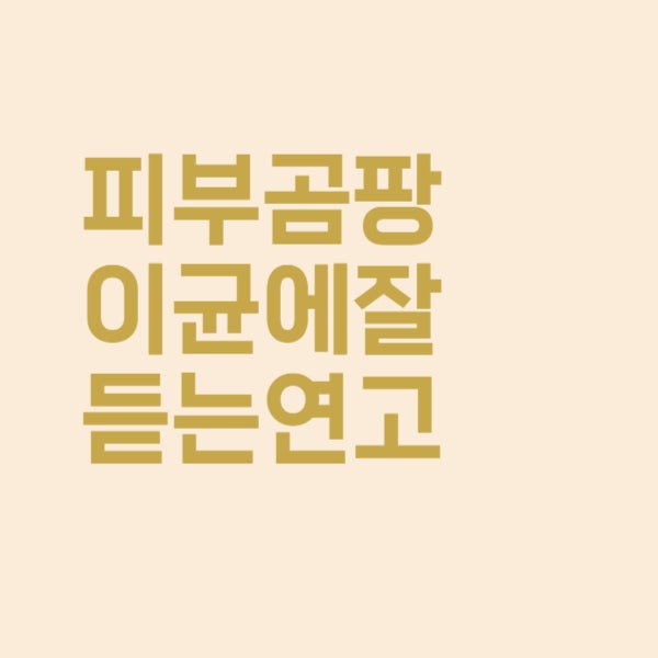  피부곰팡이균이 원인인 염증에는 이 연고 바르세요!