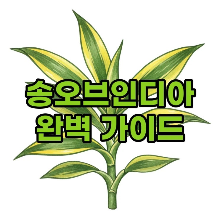  송오브인디아 키우기부터 물꽂이 번식까지: 초보자를 위한 완벽 가이드