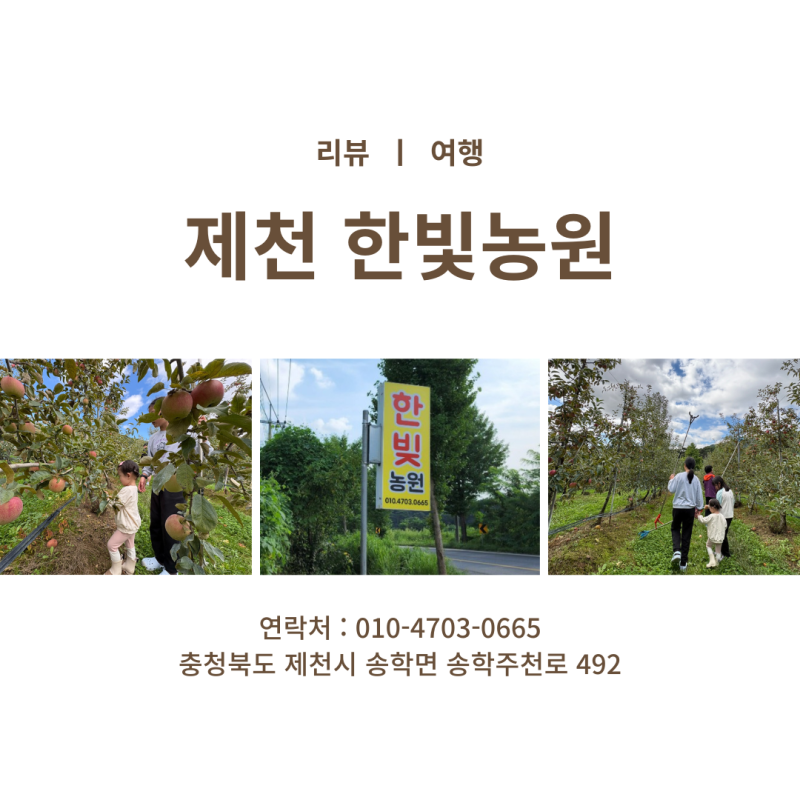 충북 제천 가족여행 체험 사과따기체험 제천아이와가볼만한곳 추천 한빛농원 제천한빛농원 ....