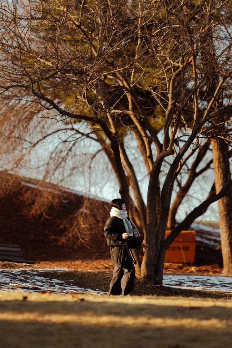 <b>서울</b>·수도권 ‘<b>아침</b> 5도’... 강수·<b>기온</b>·해상 주의보 총정리... 