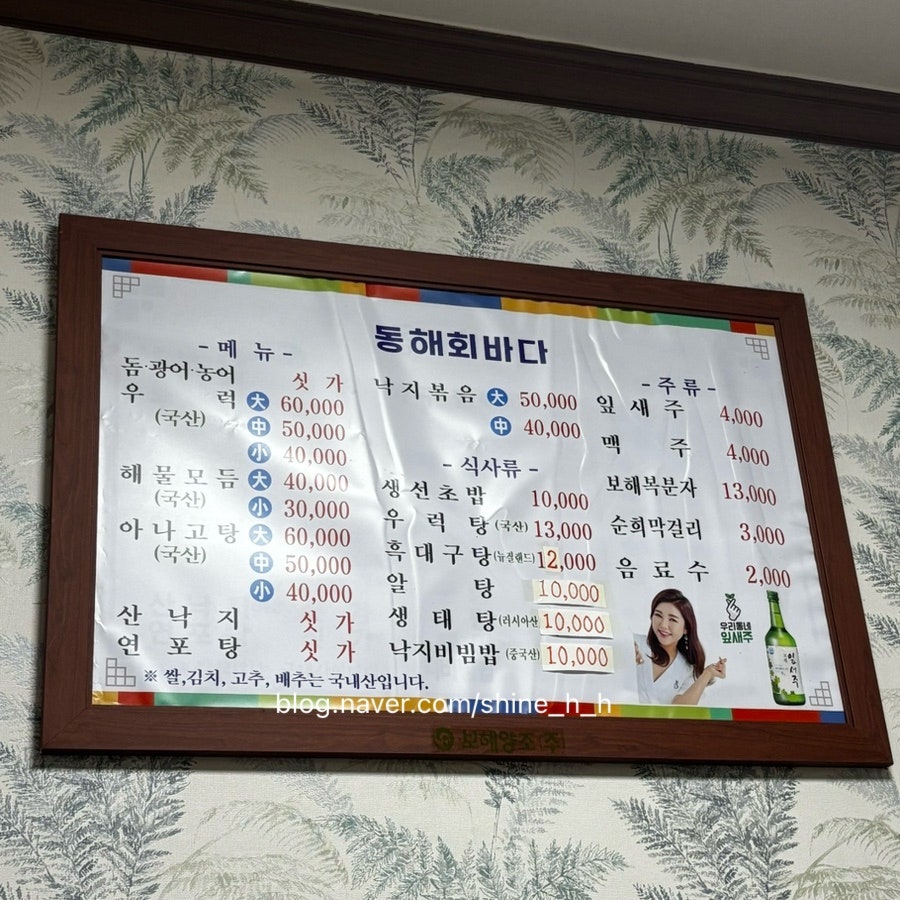 동해회바다 사진 4