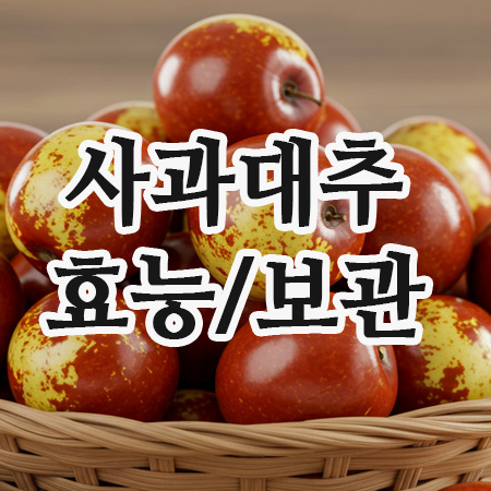 사과대추의효능과 보관법 한눈에!오래두고 맛있게 즐기기