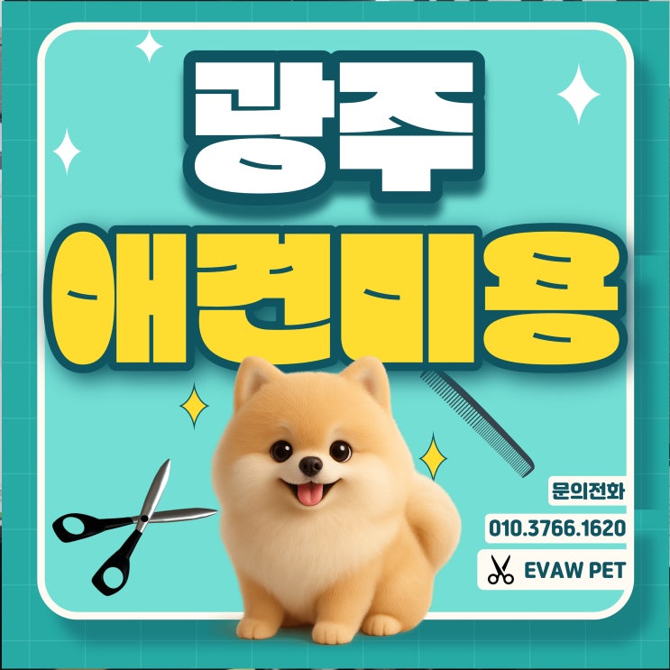  광주애견미용학원 수강료 — 기간·비용 완전 정리 (실습비·도구비까지)