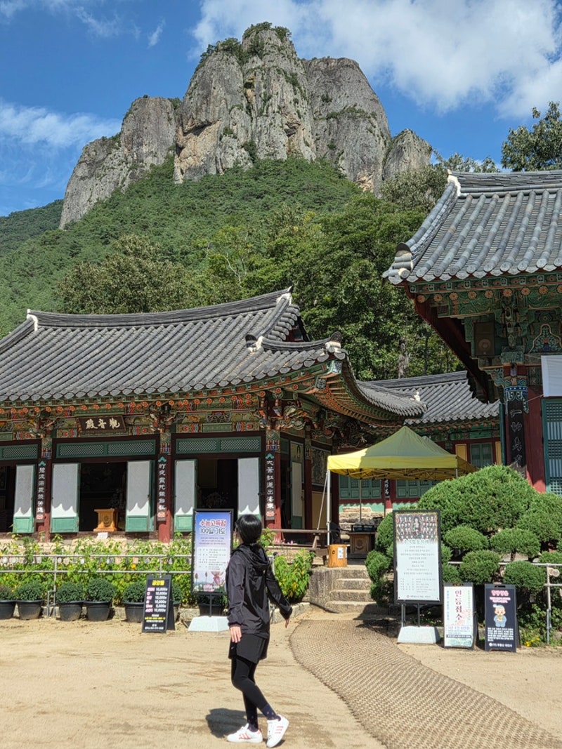 경북 청송 여행) 주왕산 국립공원 쉬운 등산코스, 소요시간, 산불현황, 주차장, 기념품샵, ‘....