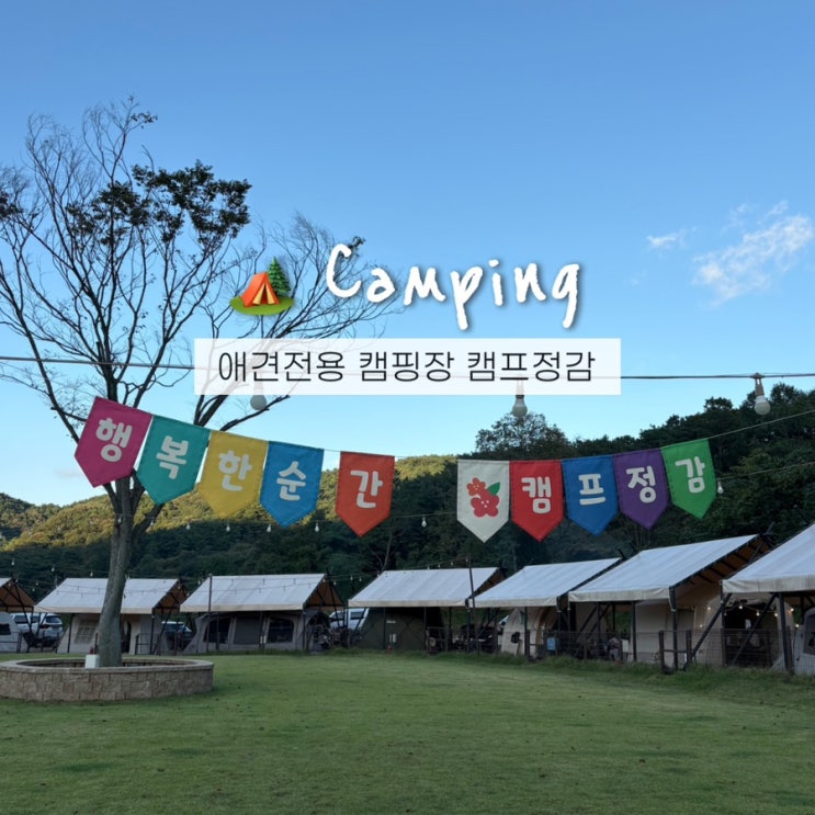  아산 캠프정감 대형견 천국! 9번 사이트 캠핑후기+아이두젠 아베크