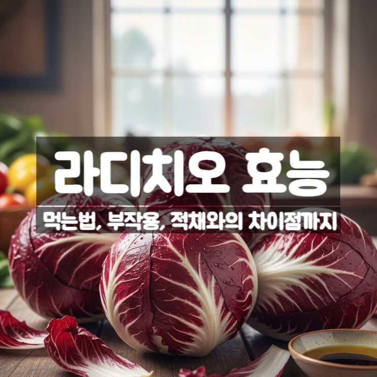  라디치오 효능 부작용 먹는법 - 적양배추 적채와의 차이점까지