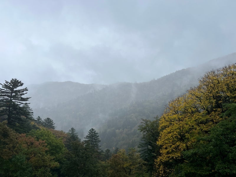 대전 안내산악회 금강투어 오대산 비로봉 최단코스 후기 탑승 장소 버스 정보