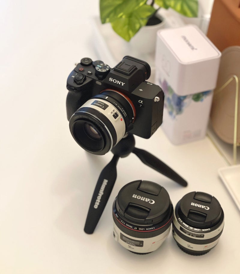 SONY A7M4 + 시그마 MC-11 (EF-E) 어댑터 + 캐논 단 렌즈군