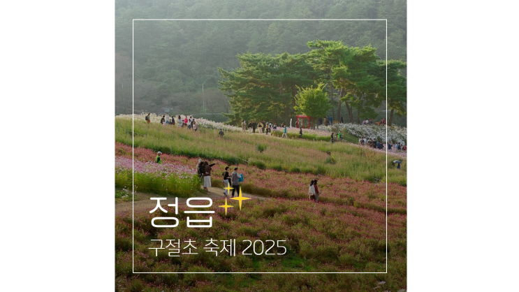  정읍 구절초축제 2025 10월에 가볼만한곳 전북 가을 나들이