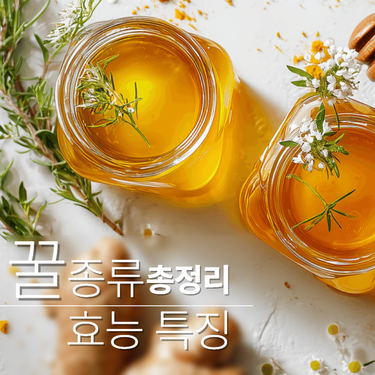  꿀종류 효능 이름 특징 한눈에 보기!