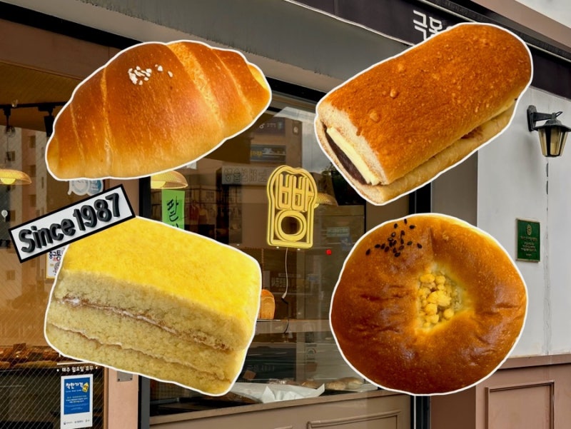 대전 테미오래 근처 39년 빵 맛집 대사동 극동제과 소금빵 단팥빵