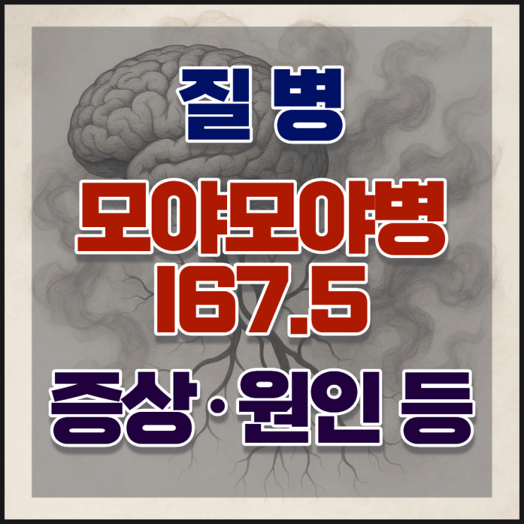 모야모야병(i67.5) 뜻·증상·원인·수술·진단비 면책 총정리