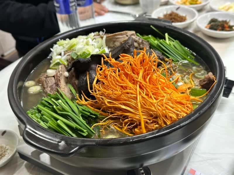 태백호텔 한국관 (능이오리백숙, 곤드레만두, 눈꽃쭈꾸미볶음, 해물파전)